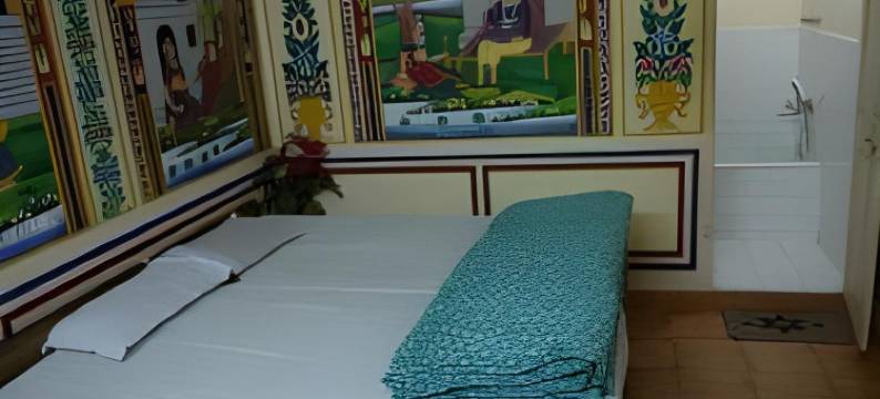 什克哈瓦提酒店(Hotel Shekhawati, A Boutique Stay)图片