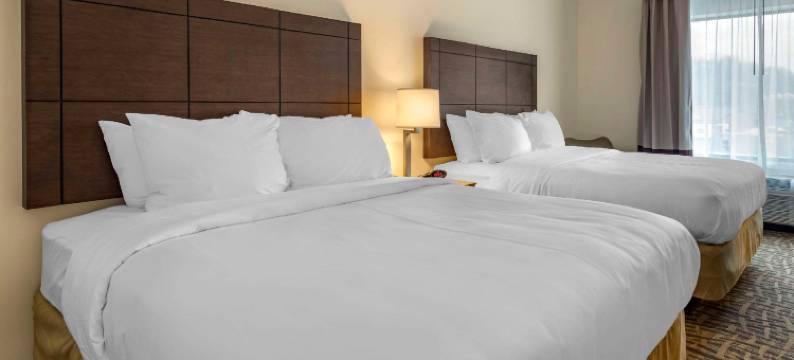 匹兹堡北岸舒适套房酒店(Comfort Inn & Suites Pittsburgh-Northshore)图片