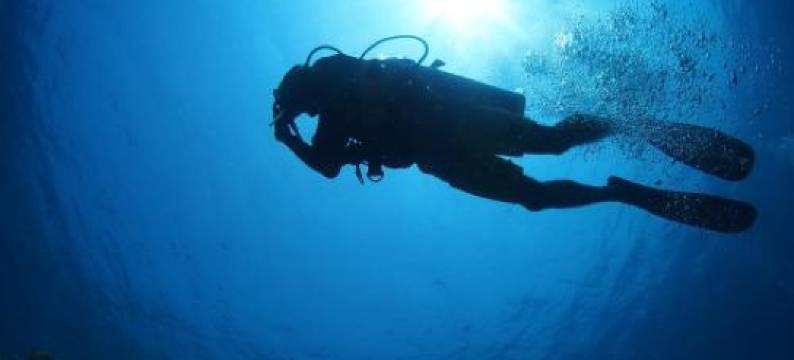 迪古拉白沙日出酒店(Sunrise by White Sand Dhigurah)图片