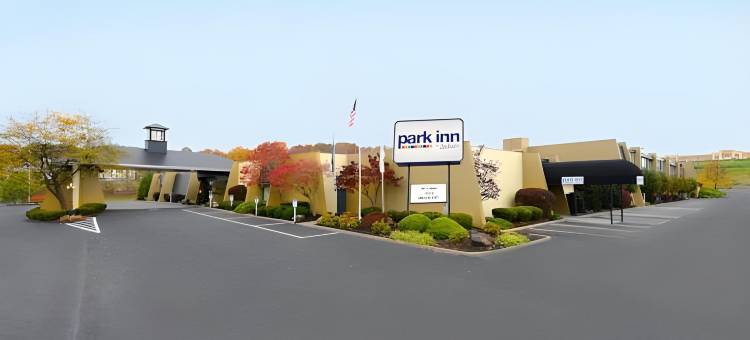 沙伦丽柏酒店(Park Inn by Radisson Sharon)图片