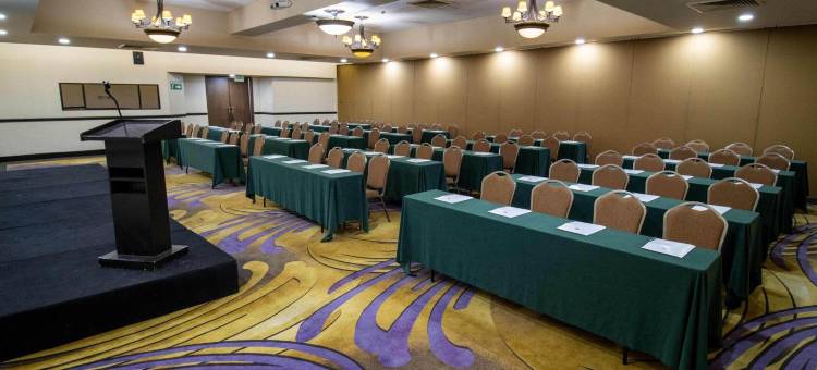 阿莱莎墨西卡利酒店(Hotel Araiza Mexicali)图片