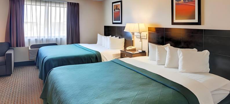 威奇托福尔斯舒适酒店-近大学(Comfort Inn Wichita Falls Near University)图片