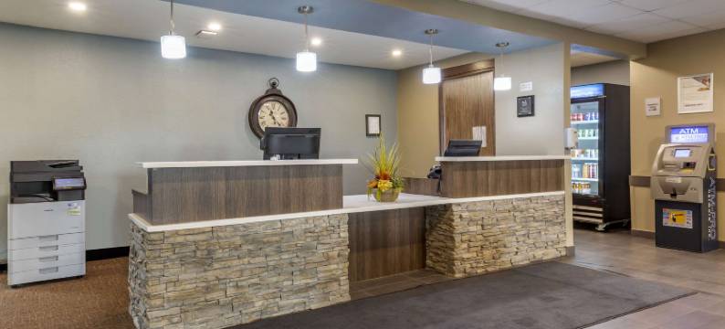 凯艺套房酒店(Quality Inn & Suites)图片