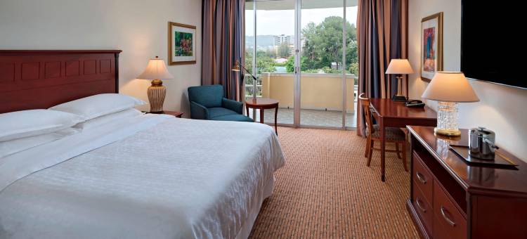 圣萨尔瓦多尊享喜来登酒店(Sheraton Presidente San Salvador Hotel)图片