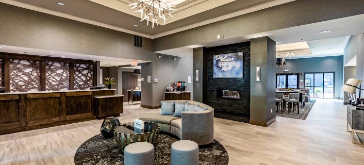 亚特兰大莱诺克斯巴克海德Homewood Suites by Hilton(Homewood Suites by Hilton Atlanta Lenox Buckhead)图片