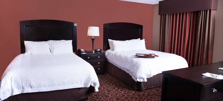 迪金森欢朋套房酒店(Hampton Inn & Suites Dickinson)图片