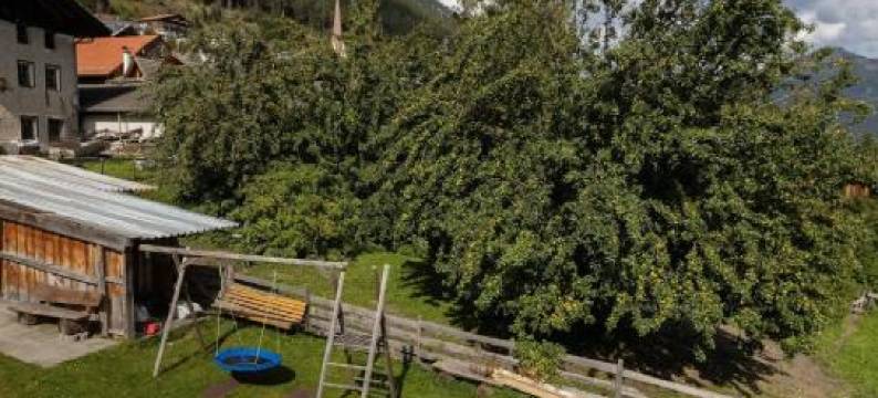 基得霍夫公寓(Gidnhof)图片