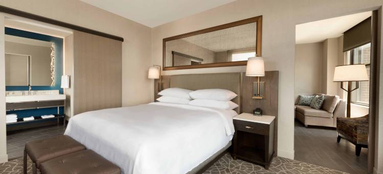 明尼亚波里城市希尔顿安泊酒店(Embassy Suites by Hilton Minneapolis Downtown)图片