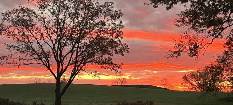 Centered between Cooperstown and Cobleskill NY图片