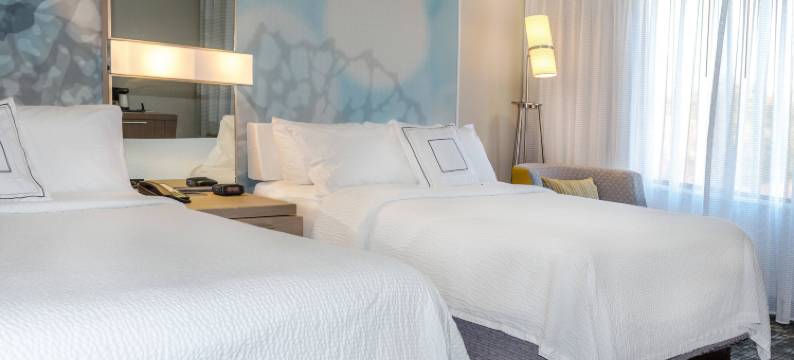 纳什维尔奥普里兰万怡酒店(Courtyard Nashville at Opryland)图片