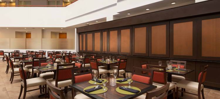 巴尔的摩华盛顿国际机场希尔顿大使套房酒店(Embassy Suites by Hilton Baltimore at BWI Airport)图片