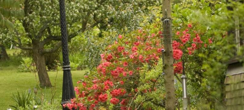 克雷福林16世纪乡村民宿(Cleavers Lyng 16th Century Country House)图片