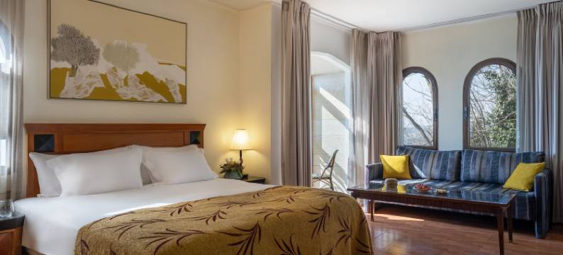 萨法德鲁斯 - 丹酒店(Ruth Safed by Dan Hotels)图片