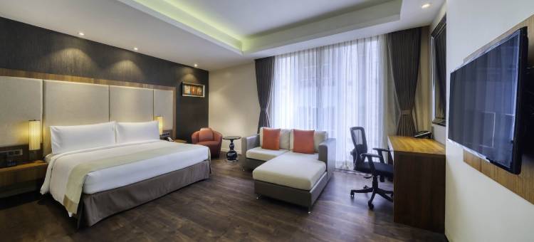 加尔各答机场假日酒店(Holiday Inn Kolkata Airport,)图片