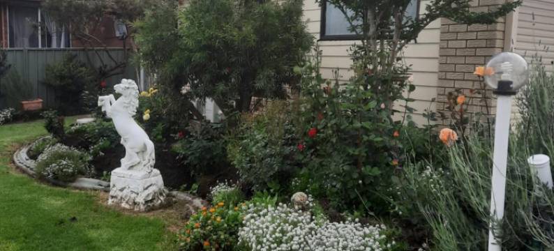 比加南镇汽车旅馆(Bega Southtown Motor Inn)图片