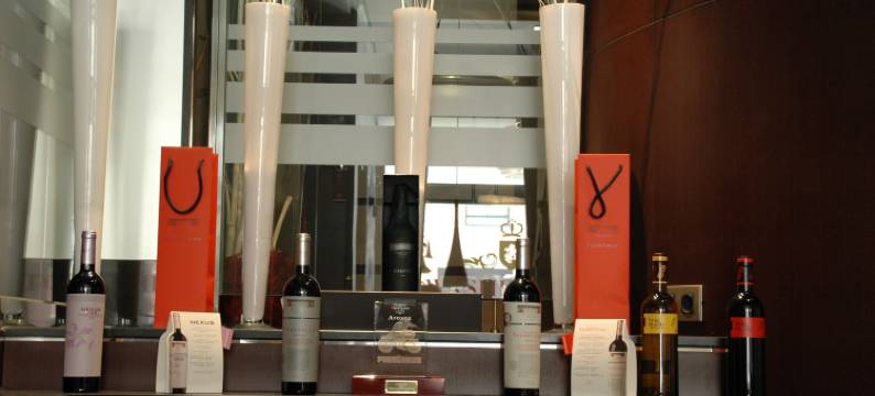 华盛顿帕克索尔套房酒店(Washington Parquesol Suites & Hotel)图片