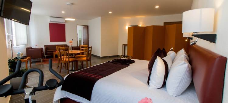 普埃布拉安荷洛波里斯使命酒店(Mision Puebla Angelopolis)图片