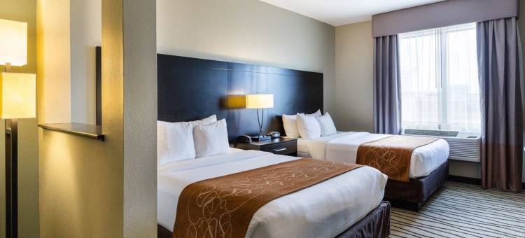 舒适套房酒店-近韦斯特彻斯8号环城路(Comfort Suites near Westchase on Beltway 8)图片