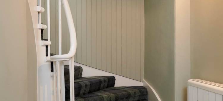 唐赖特加布勒(Downright Gabbler)图片