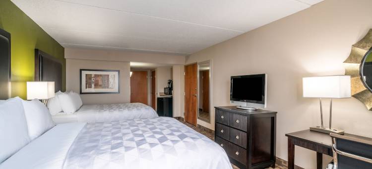 Holiday Inn 马纳萨斯 - 战场(Holiday Inn Manassas - Battlefield)图片
