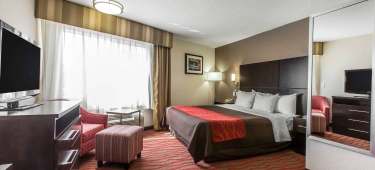 洛杉矶近好莱坞舒适酒店(Comfort Inn Los Angeles near Hollywood)图片