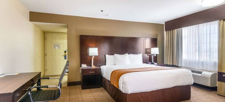 舒适套房酒店(Comfort Inn & Suites)图片