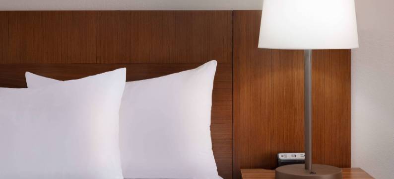 奥斯汀南万枫酒店及套房(Fairfield Inn & Suites Austin South)图片