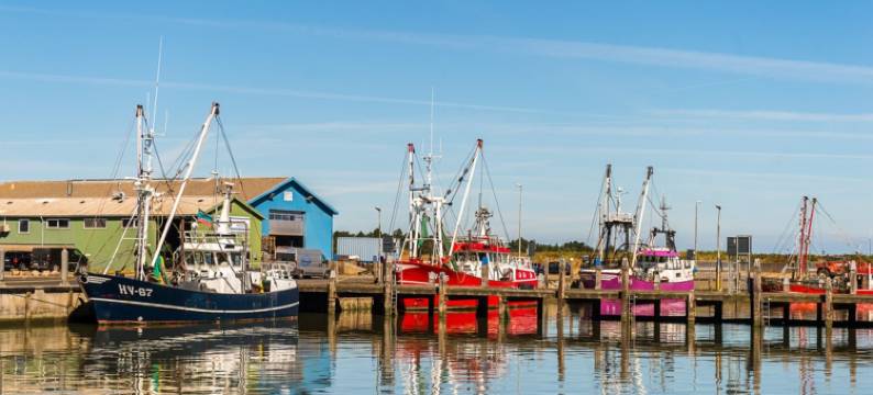 First Camp Lakolk strand- Römö图片
