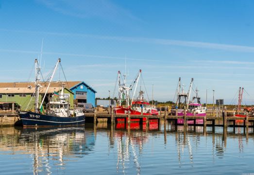 First Camp Lakolk strand- R?m? Hotel Overview