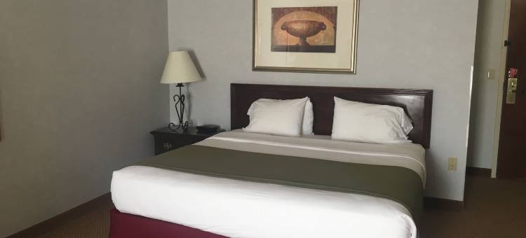 高山套房酒店(Mountain Inn & Suites)图片