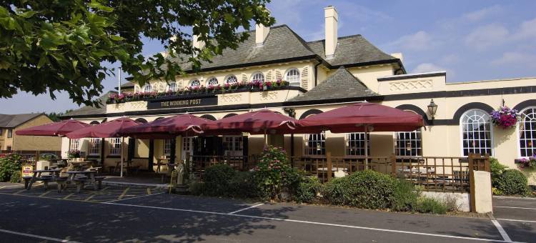 普瑞米尔推肯汉姆体育场酒店(Premier Inn London Twickenham Stadium)图片