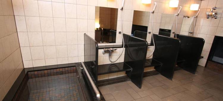 广岛新干线人工温泉二股汤之华格林里奇酒店(Green Rich Hotel Hiroshima Shinkansenguchi (Artificial Hot Spring Futamata Yunohana))图片