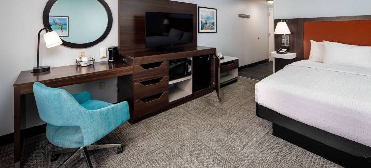 希尔顿欢朋套房酒店-纳瓦尔(Hampton Inn & Suites Navarre)图片