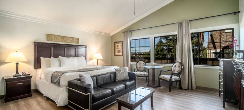 皇冠城堡酒店(Kronborg Inn)图片