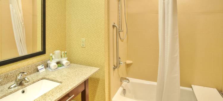 弗兰肯默斯智选假日酒店(Holiday Inn Express & Suites FRANKENMUTH by IHG)图片