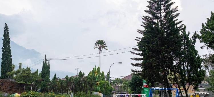 巴图玛琅酒店(Three Eight Front One Boutique Batu Malang)图片