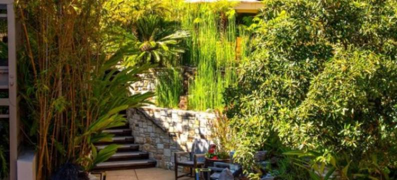 贸易风卡梅尔酒店(Tradewinds Carmel)图片