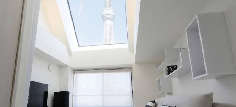 克拉斯苏米达公寓(La Krasse Sumida)图片