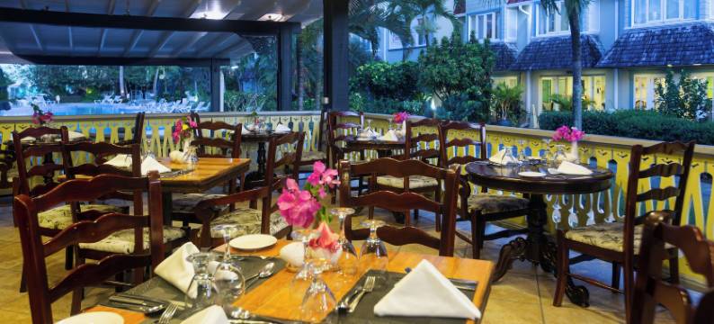 可可棕榈(Coco Palm)图片