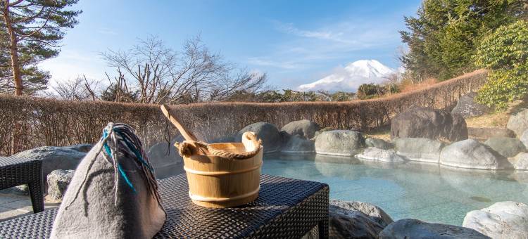 富士山酒店(Hotel Mt. Fuji)图片