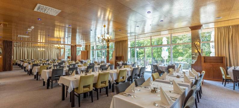 杰泽洛酒店(Hotel Jezero)图片