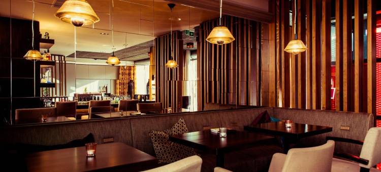 凯撒斯劳滕萨克斯城市设计酒店(Saks Urban Design Hotel Kaiserslautern)图片