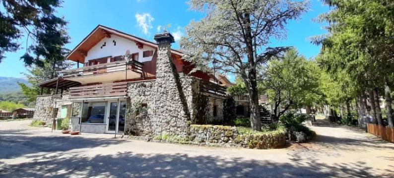 奥尔索比安哥酒店(Hotel Orso Bianco)图片