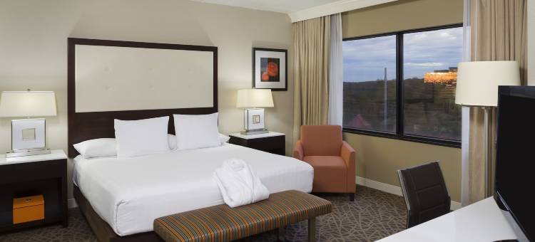亚特兰大西北凯悦套房酒店(Hyatt Regency Suites Atlanta Northwest)图片