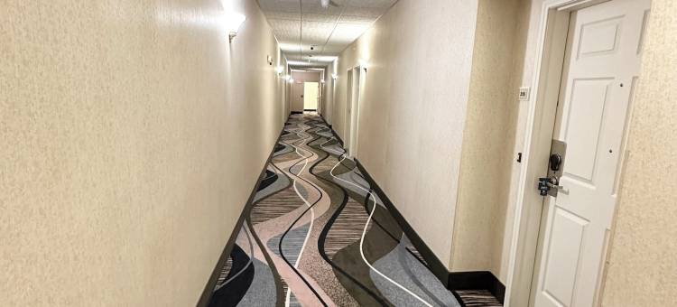 麦迪逊机场美茵斯坦套房酒店(MainStay Suites Madison Airport)图片