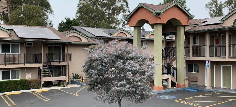 橄榄树旅馆及套房, 温德姆豪生(Olive Tree Inn & Suites, a Howard Johnson by Wyndham)图片