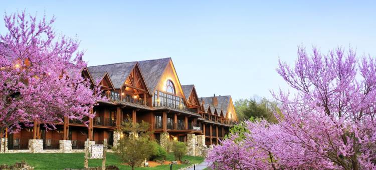 大雪松旅馆(Big Cedar Lodge)图片