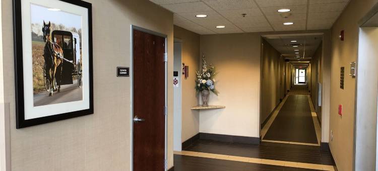 埃尔克哈特南舒适套房酒店(Comfort Suites South)图片