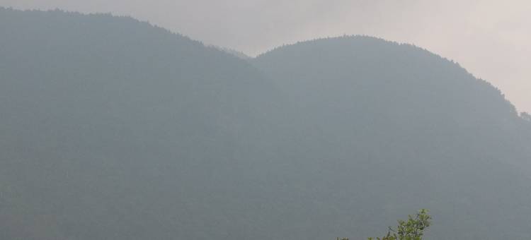 山景休憩旅馆(Hillsview Rest and Guest House)图片