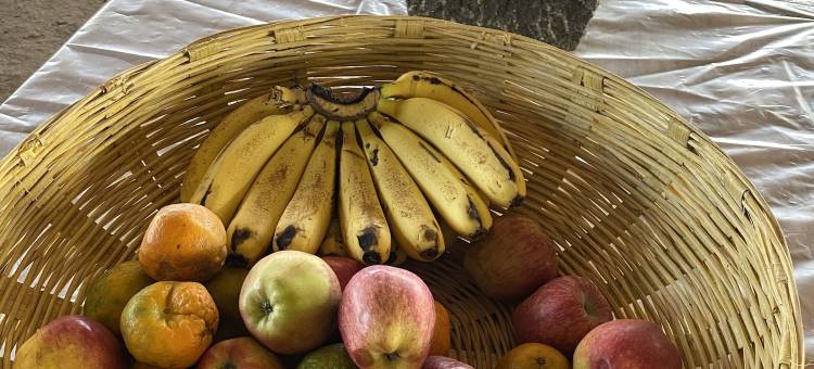 阿南塔生态住宿酒店-近科达拉(Ananta Ecostays)图片